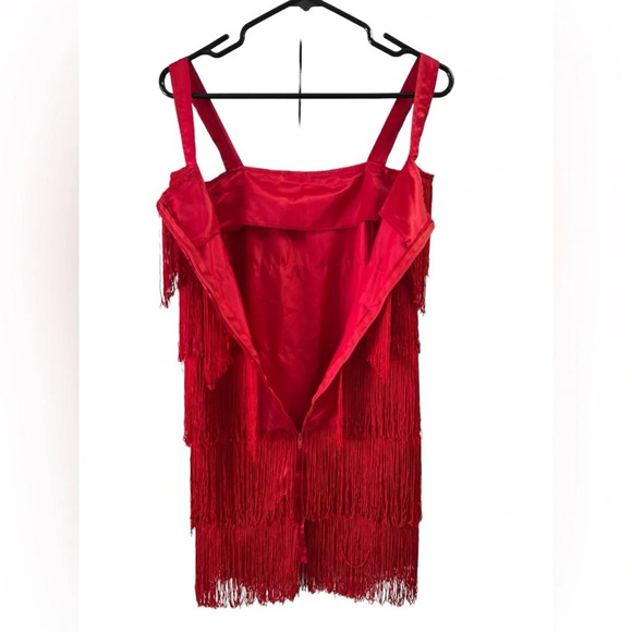 Red fringe flapper costume mini dress - Picture 4 of 6